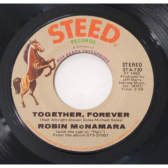 Robin McNamara Hang In There Baby / Together, Forever 45 RPM Steed VG Rock '70 - Picture 2 of 2